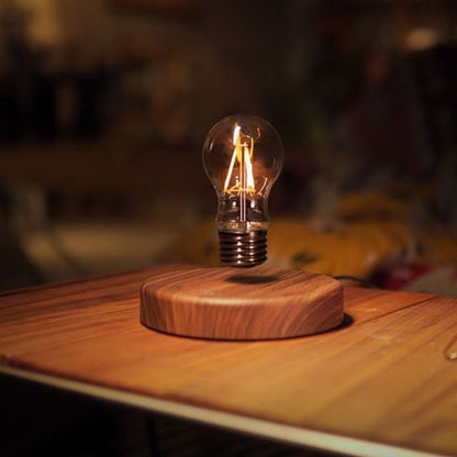 Floating Bulb Lamp